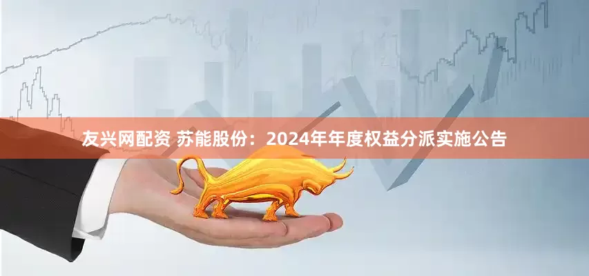 友兴网配资 苏能股份：2024年年度权益分派实施公告