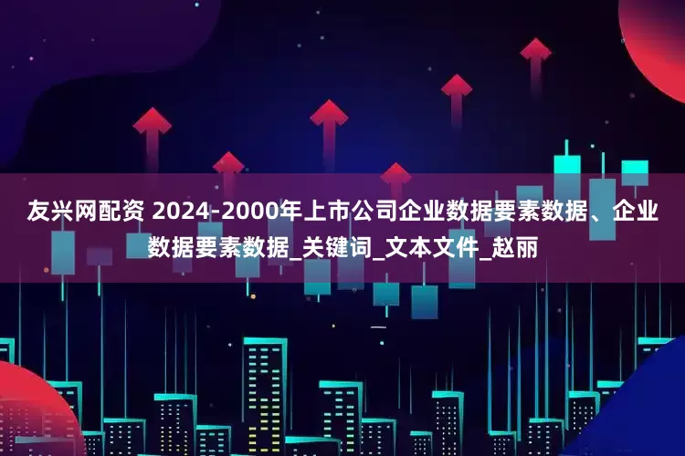 友兴网配资 2024-2000年上市公司企业数据要素数据、企业数据要素数据_关键词_文本文件_赵丽