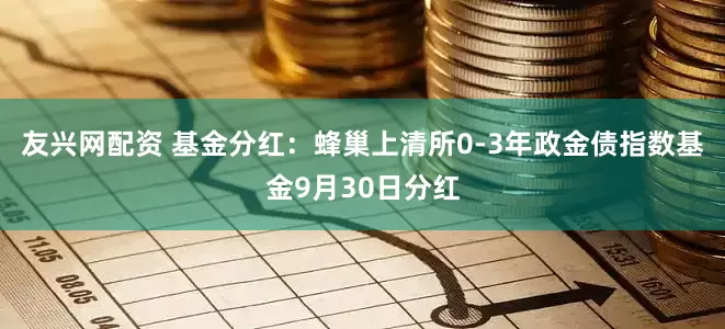 友兴网配资 基金分红：蜂巢上清所0-3年政金债指数基金9月30日分红